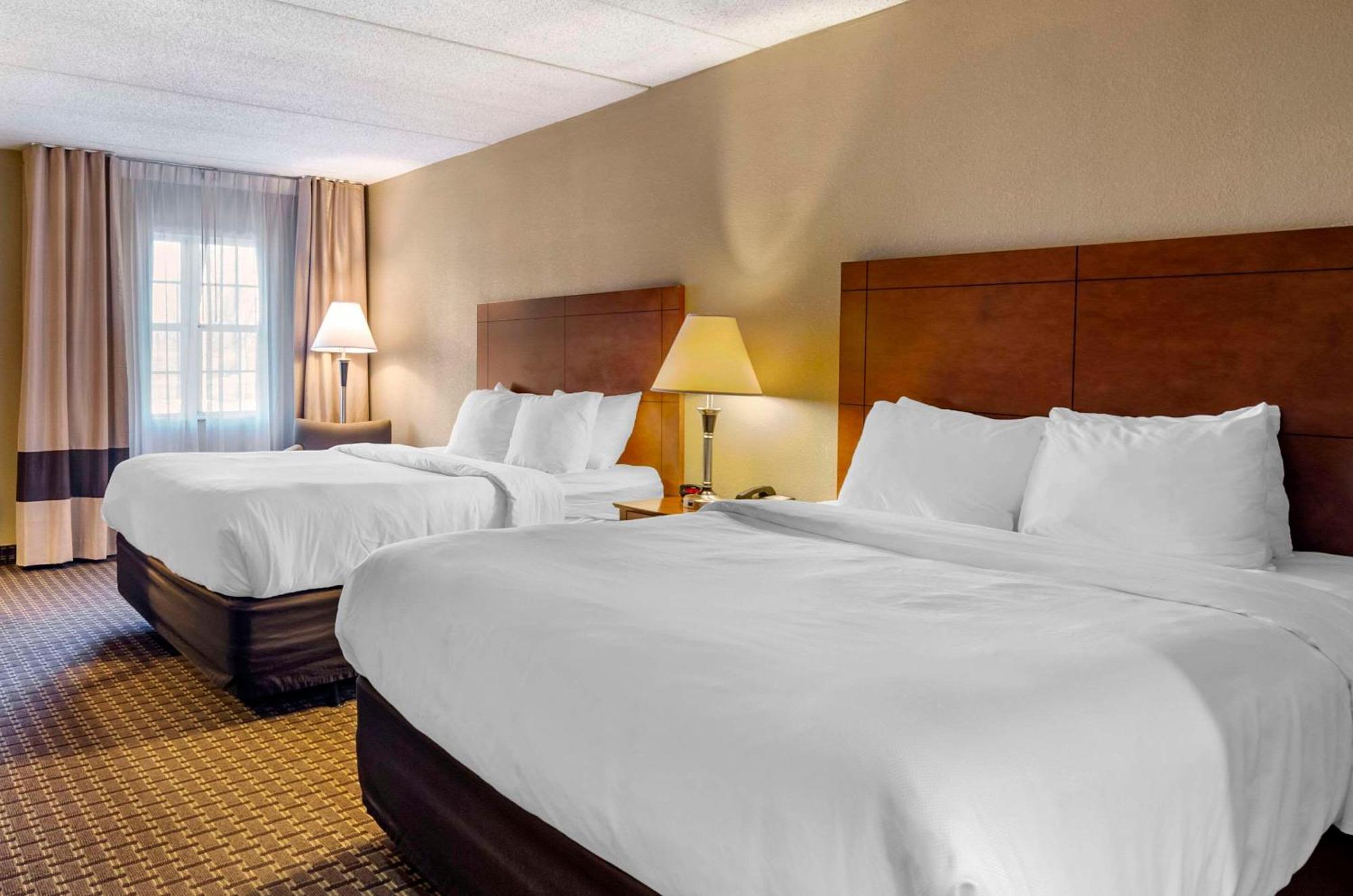 Comfort Inn & Suites Raphine - Lexington Near I-81 And I-64 Экстерьер фото
