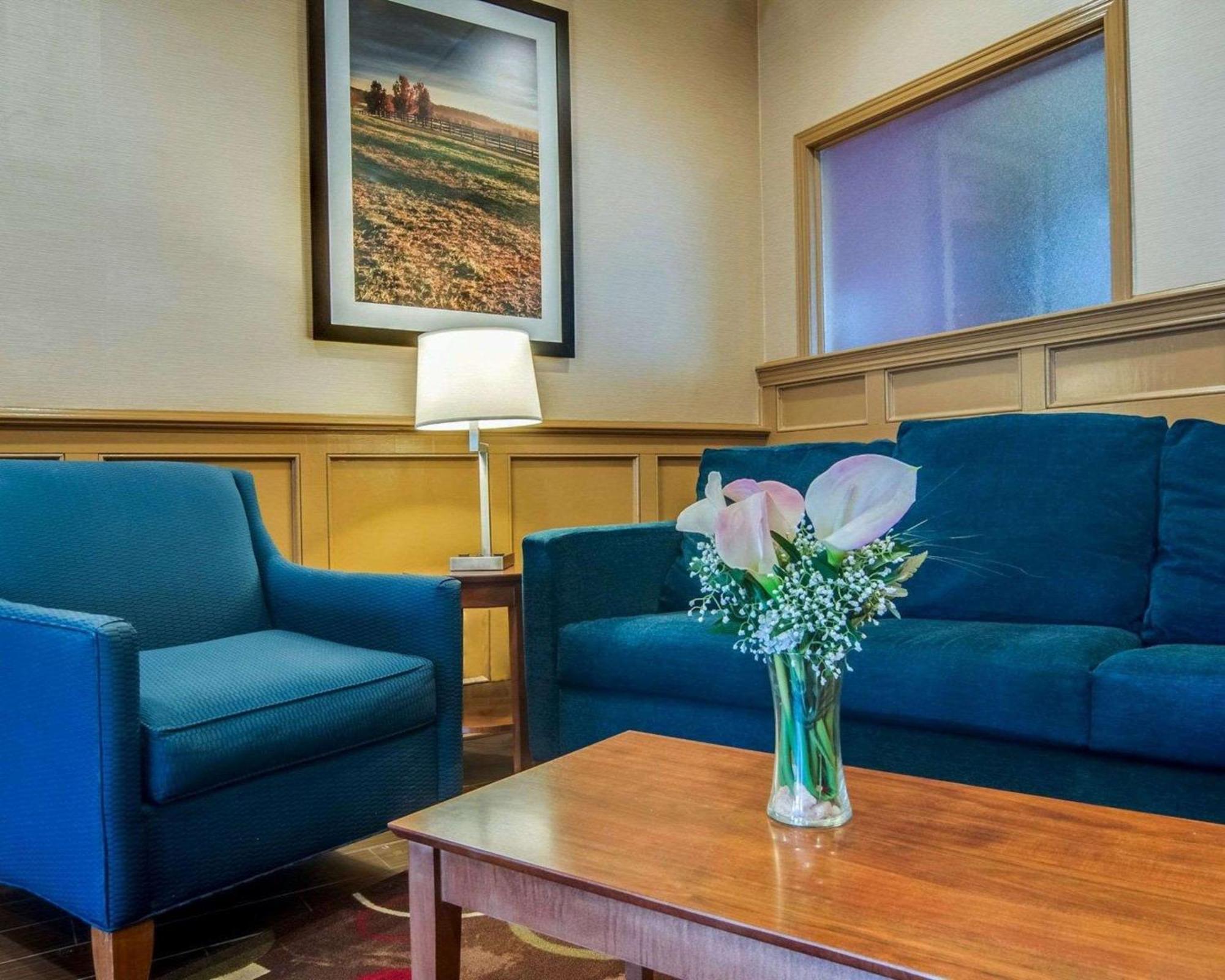 Comfort Inn & Suites Raphine - Lexington Near I-81 And I-64 Экстерьер фото